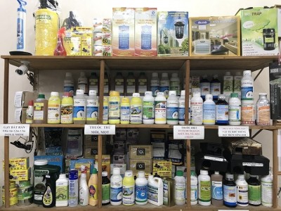 4 Loại Thuốc Diệt Mối Giá Rẻ